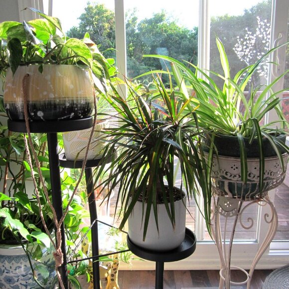 Canon Powershot A2200 14.1 MP Digital Camera 4X Zoom Blue Charger Battery Case - Picture 11 of 14